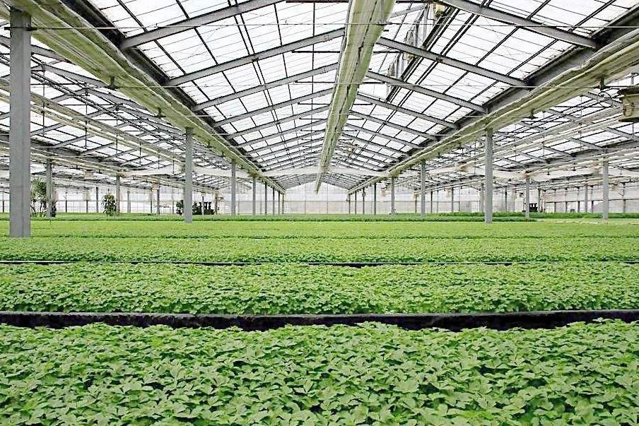 Greenhouse Dehumidifier Industrial